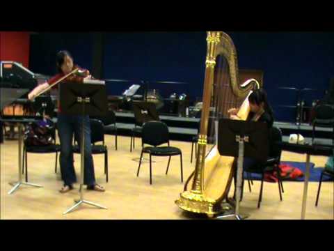 Saint-Saens Fantasie for Violin and Harp