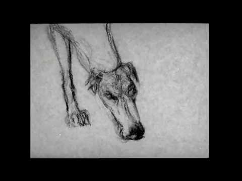 Dale Cooper Quartet And The Dictaphones - Elle Agréable Rendez Vous De Chasse