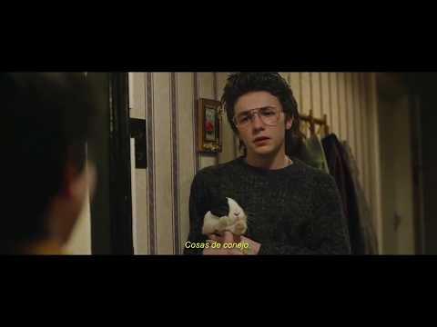 eamon "just rabbit stuff." — sing street