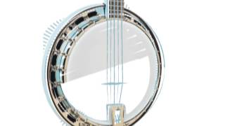 The Recording King Starlight Series Banjos