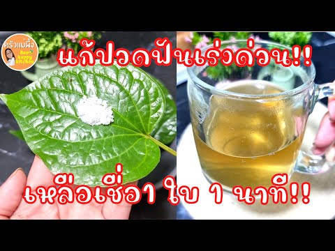 สมุนไพรแก้ปวดฟัน ปวดเหงือกอักเสบ ดับกลิ่นปาก เพียง 1 ใบ 1 นาที หายทันที‼️|ครัวแม่ผึ้ง