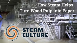 How Steam Helps Turn Wood Pulp into Paper - Steam Culture