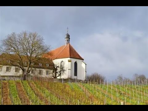 Lobe den Herren - Orgel + Gesang - Gotteslob 392