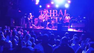 The Steppas - Empress Love/Niceness