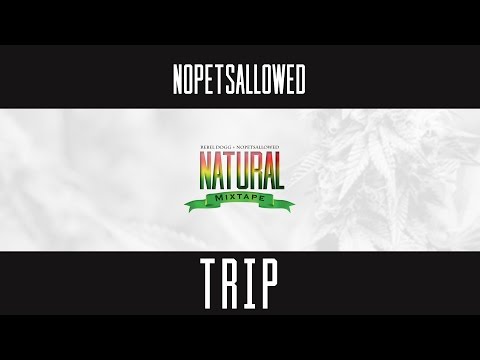 Nopetsallowed - Trip Baghetto feat  Jamaar
