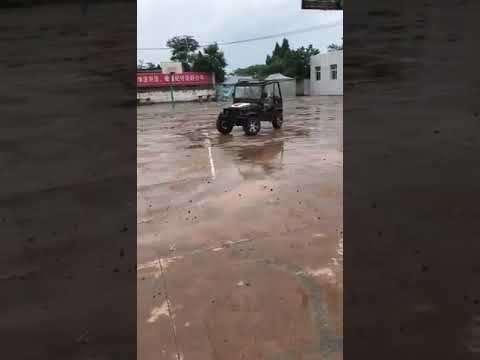Thumbnail for 300cc Off-road UTV by Vehicle