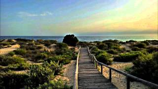 Lo que sueñas vuela - Marlango