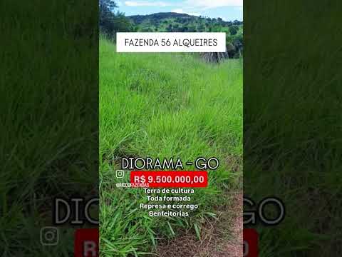 56 Alqueires em Diorama- Go | whatsapp 62 99373-6407