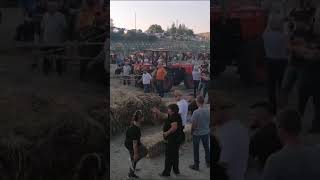 zungoli-rievoca-l-antica-trebbiatura