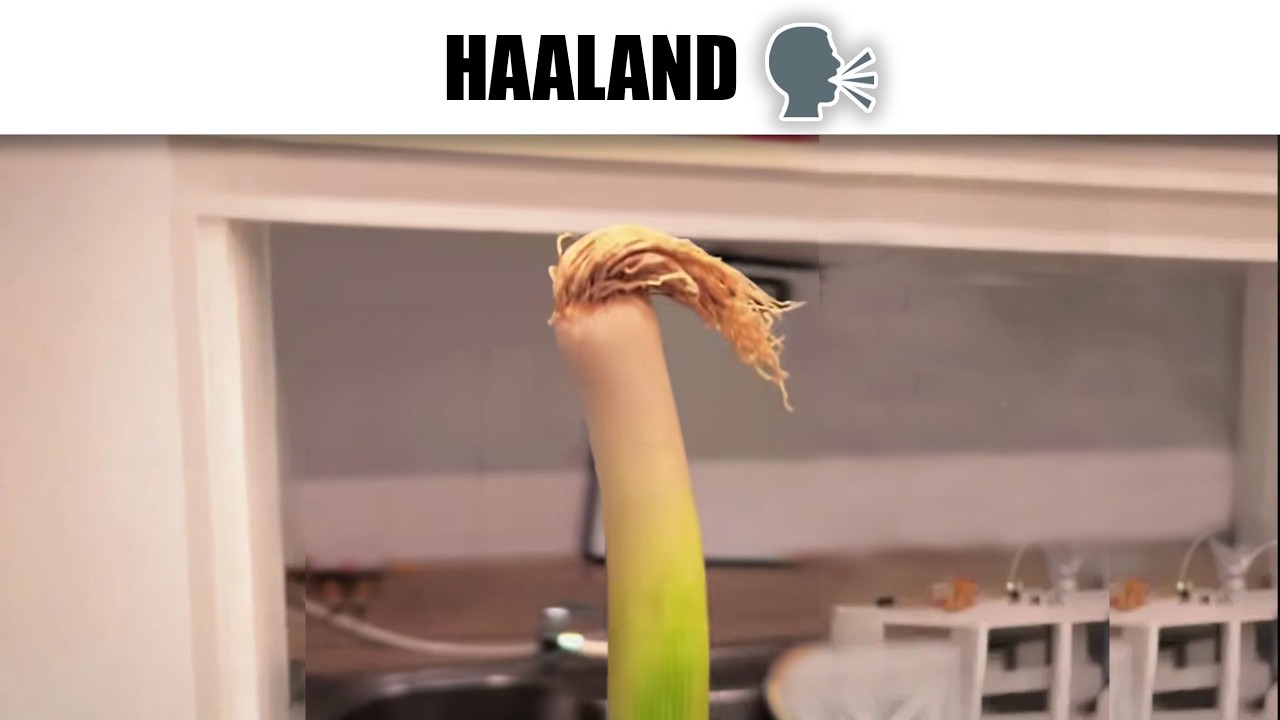 MEDIA HORA DE MEMES RANDOM #724