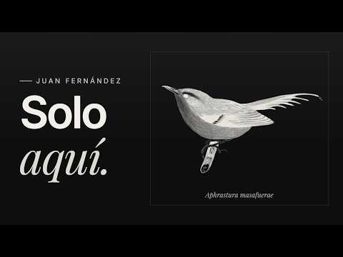 Solo aquí: las especies únicas del archipiélago Juan Fernández (Chile)