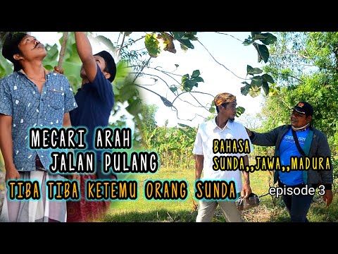 madura-lucumencari-arah-jalan-pulangtiba-tiba-ketemu-orang-sunda