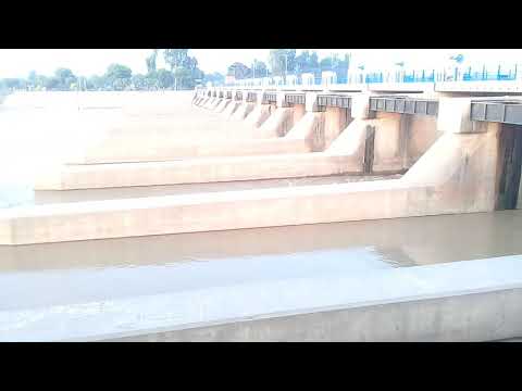 Abdul Hakeem ( head sidhnai)