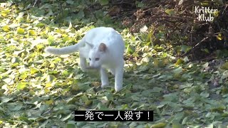 サムネこれブルプロのプレイ画面