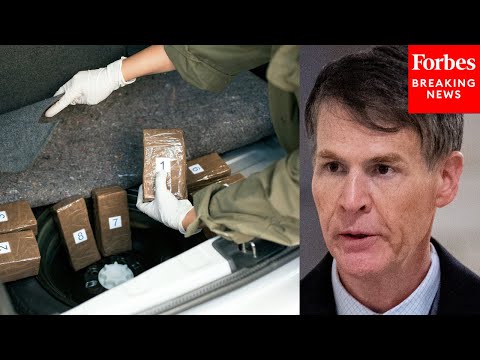 Video | Jefferson Shreve Grills Narcotics Law Official On Drug Enforcement Changes Made Under Trump Admin.