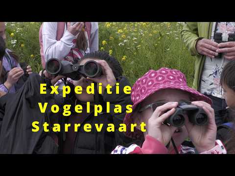 Laatste nieuws uit Leidschendam-Voorburg - Vogels spotten bij de Starrevaart: Een natuuravontuur