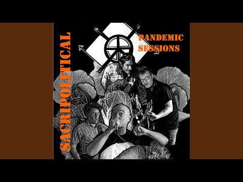 Play Video Youtube Video