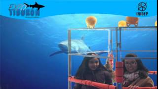 DIA 3 Expo Tiburon130