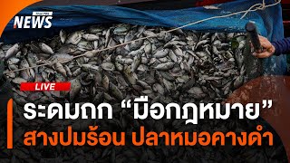 ระดมถก "มือกฎหมาย" สางปมร้อน ปลาหมอคางดำ | ไลฟ์วันนี้ | 1 ส.ค.67