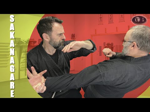 Sakanagare: Exploring The Kata Every Ninjutsu Practitioner Needs to Learn (05-19-25 Class Notes)