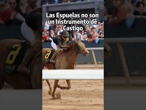 SONS OF AGUIRRE & SCILA - MACHO COWBOY (AUDIO OFICIAL)