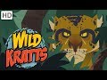 Wild Kratts The Deadliest Felines In Nature