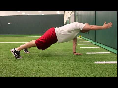 Core: Plank Hold with Arm Raise