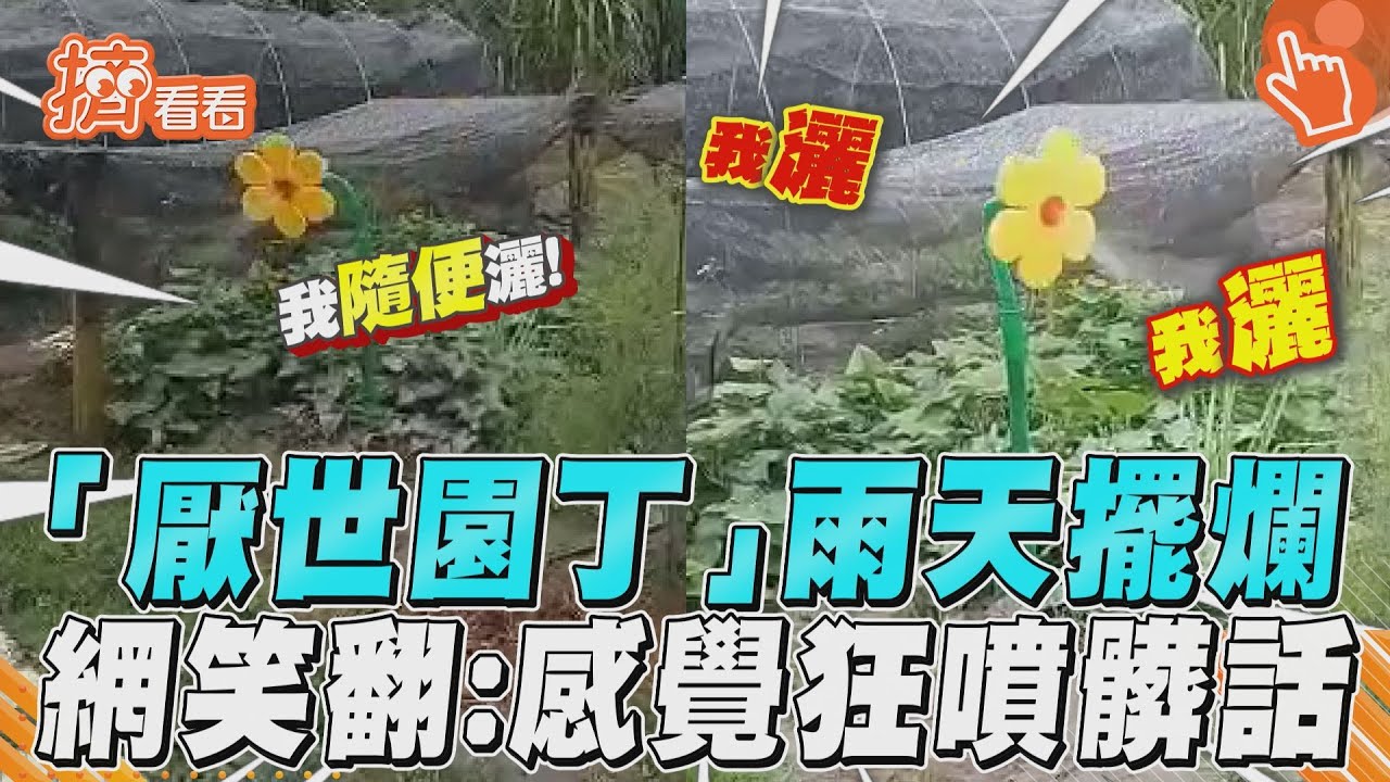 影音／很想下班？「厭世園丁」擺爛上工　網見1舉笑翻：感覺狂噴髒話