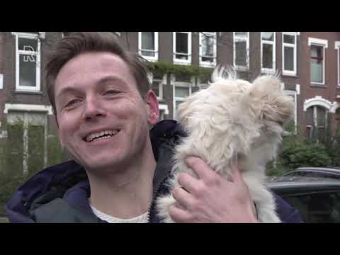 Overlast of probleem in je wijk? Vertel het oppositiehond Max