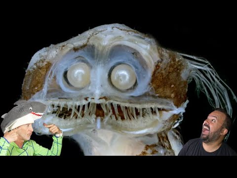 Divers React to The Unspeakable Horrors of the Deep Sea