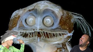Divers React to The Unspeakable Horrors of the Deep Sea