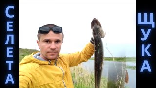 Рыбалка в казахстане степногорск