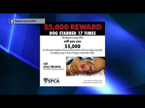 NY Long Island Nassau County SPCA Offering $5,000.00 Reward