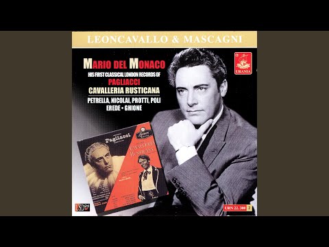 Pagliacci, Act II: Commedia