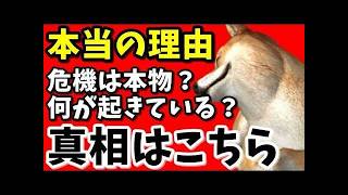 【解説】TOTO受注停止の真相とは？「日本終了」報道の違和感を読み解く