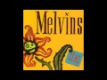 Melvins - Skin Horse (Lower Pitch)