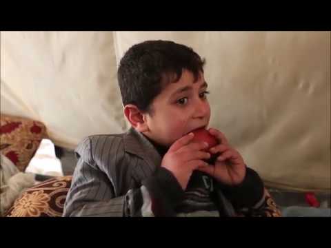 Capitan Capitone & Shaone - Abu Tabela