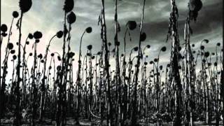 Dead Can Dance  -   The Carnival Is Over