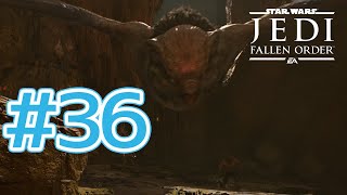 【JEDI FALLEN ORDER 】鳥の名前を覚える前にまた新しい鳥が出てくる。♯36