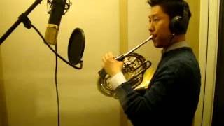 Let it go (Disney's Frozen O.S.T)- Frenchhorn cover