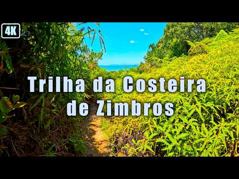 Trilha da Costeira de Zimbros 🇧🇷 | Caminhada pelo Litoral de Bombinhas | Natureza e Mar