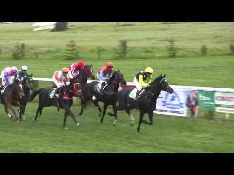 BR, 23. 4. 2016, 7. dostih - Cena pořadatele TJ BRNO DVORSKA