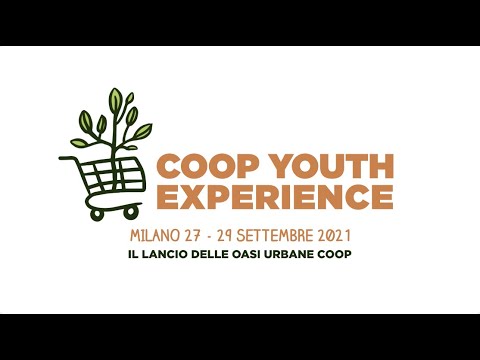 Anteprima video