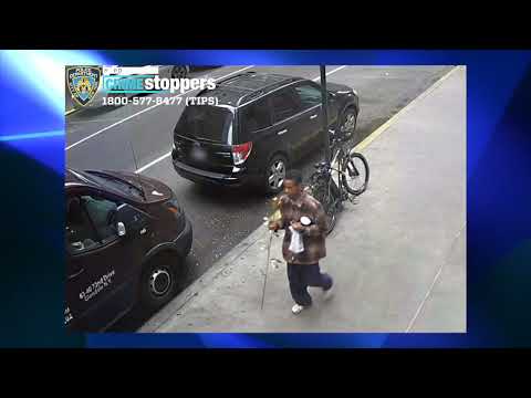 NYPD 9-11 Theft Suspect