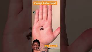 😱"Você não vai acreditar no que acontece a seguir!" #Shorts#Curiosity#MindBlowing