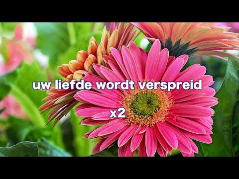 OPwekking 601 Deel door ons uw liefde uit