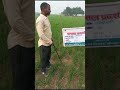 फसल प्रदर्शन ग्राम करहिया नाबार्ड प्�