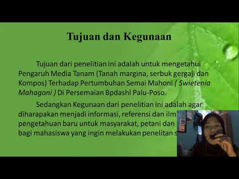 Video