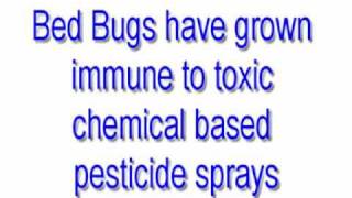 Bed Bugs Spray | Bed Bugs Spray - Safe for Humans and Pets