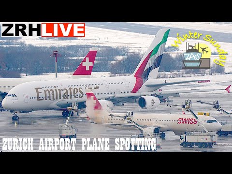 🔴LIVE Zurich Airport Winter Sunday Plane Spotting ft. US Air Force C-17